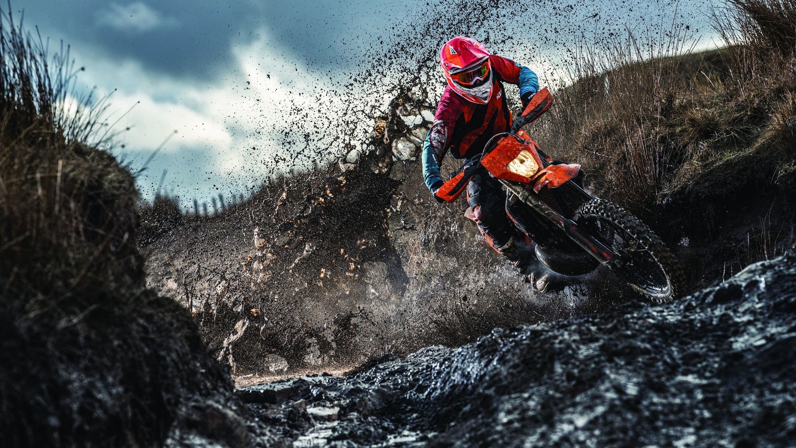 欧冠新赛季：利物浦压哨晋级 把同组“黑马第二名”挤出淘汰赛门外